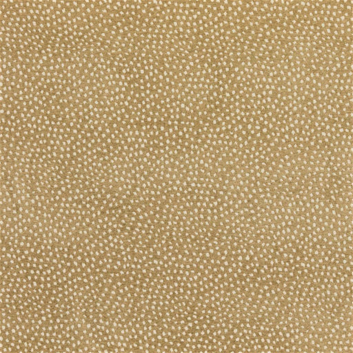 Flurry - Taupe - RM Coco - Fabric by the Yard