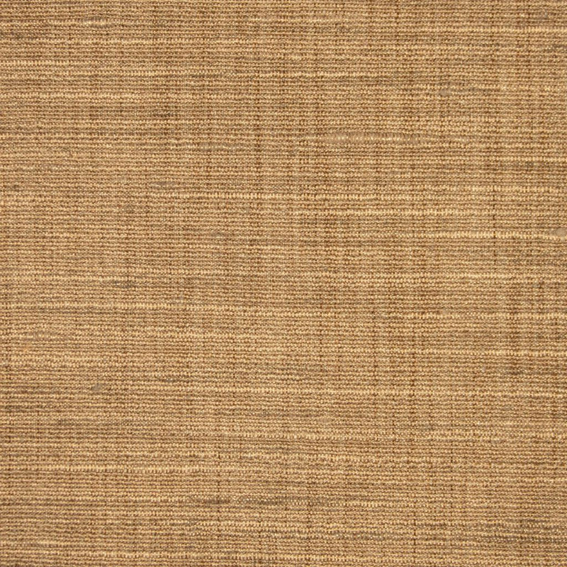 Ocean Breeze - Sand Dollar - RM Coco - Fabric by the Yard