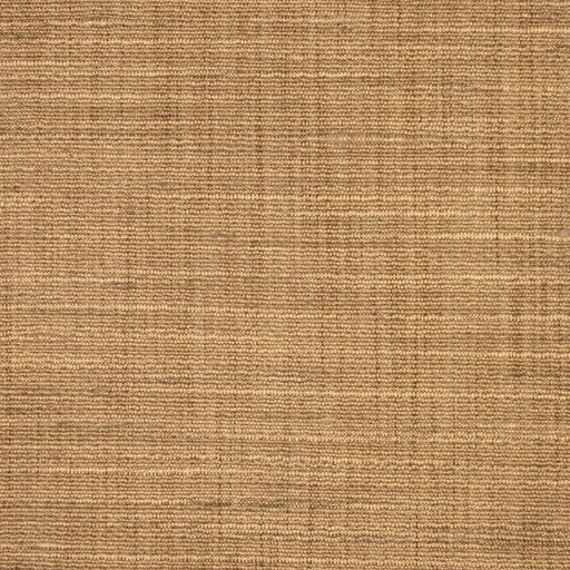 Ocean Breeze - Sand Dollar - RM Coco - Fabric by the Yard