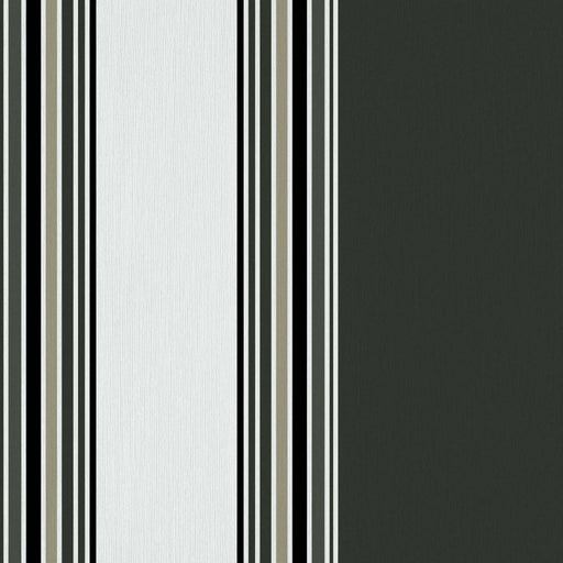 Ming Stripe - Charcoal - RM Coco - Fabric by the Yard