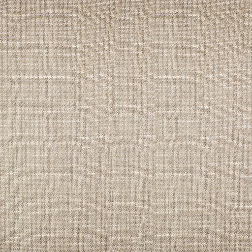 Single File Wide-Width Sheer - Barely There - RM Coco - Fabric by the Yard