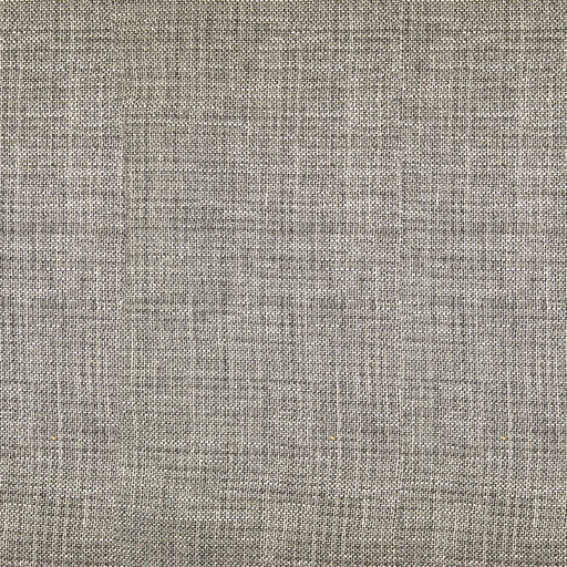 Single File Wide-Width Sheer - Driftwood - RM Coco - Fabric by the Yard