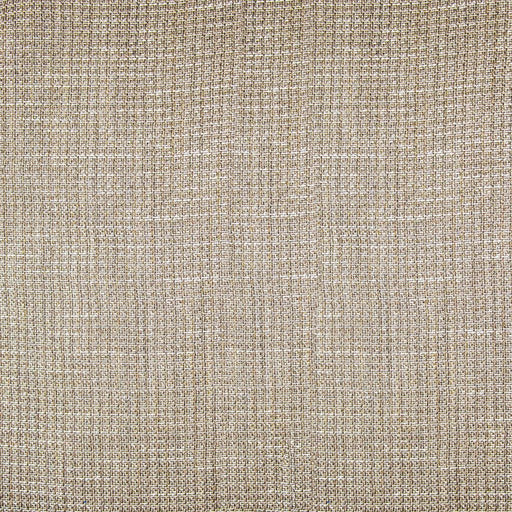 Single File Wide-Width Sheer - Haze - RM Coco - Fabric by the Yard