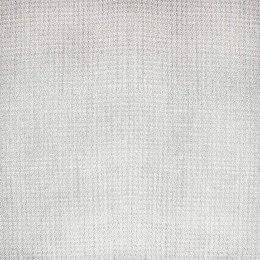 Single File Wide-Width Sheer - Platinum - RM Coco - Fabric by the Yard