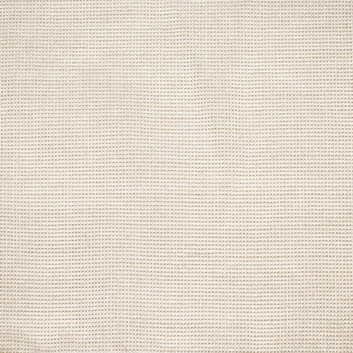 Moonbeam Wide-Width Sheer - Frost - RM Coco - Fabric by the Yard