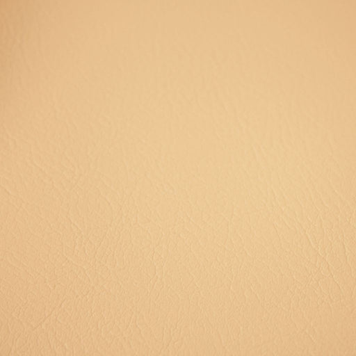 Fortitude Performance Vinyl - Alabaster - RM Coco - Fabric by the Yard