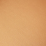 Fortitude Performance Vinyl - Frosted Ivory - RM Coco - Fabric by the Yard
