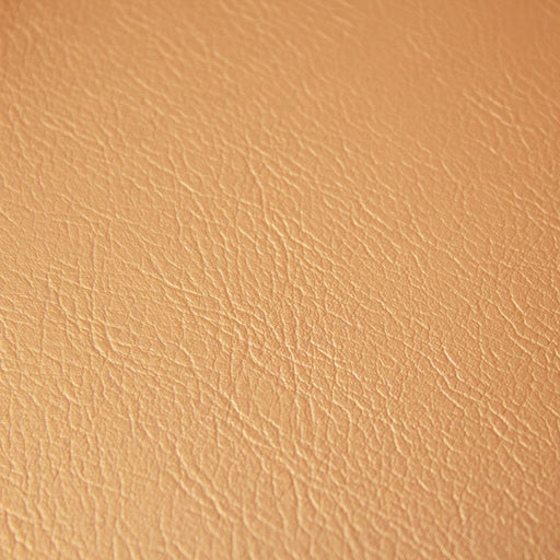 Fortitude Performance Vinyl - Frosted Ivory - RM Coco - Fabric by the Yard