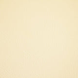 Fortitude Performance Vinyl - Opalescent - RM Coco - Fabric by the Yard