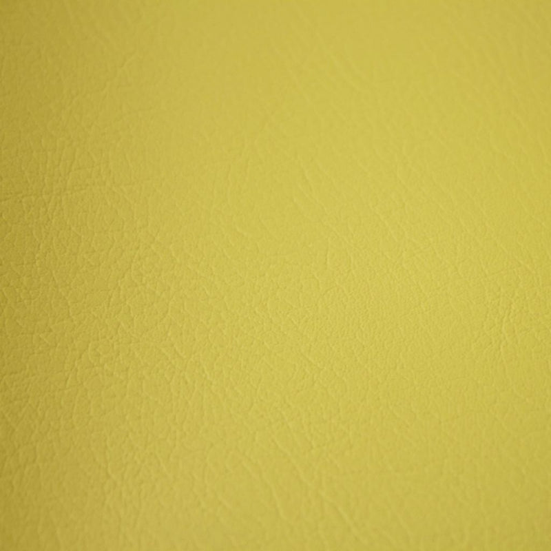 Fortitude Performance Vinyl - Sage - RM Coco - Fabric by the Yard