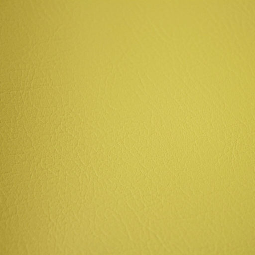 Fortitude Performance Vinyl - Sage - RM Coco - Fabric by the Yard