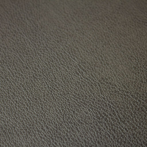 Fortitude Performance Vinyl - Shadow - RM Coco - Fabric by the Yard