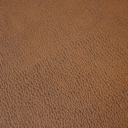 Fortitude Performance Vinyl - Spanish Moss - RM Coco - Fabric by the Yard