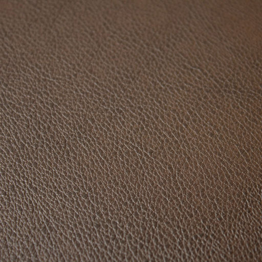 Fortitude Performance Vinyl - Umber - RM Coco - Fabric by the Yard