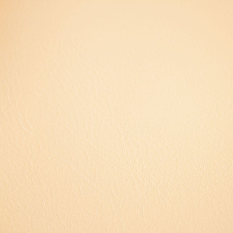 Fortitude Performance Vinyl - Vanilla Latte - RM Coco - Fabric by the Yard
