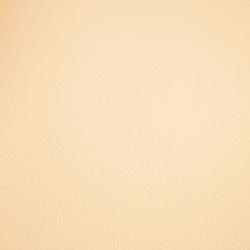 Fortitude Performance Vinyl - Vanilla Latte - RM Coco - Fabric by the Yard