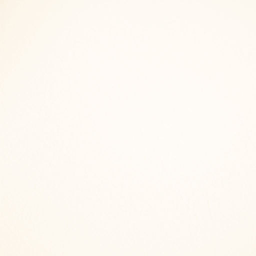 Fortitude Performance Vinyl - Flaked Coconut - RM Coco - Fabric by the Yard