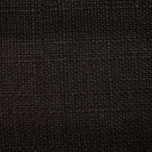 Stonebriar - Raven - RM Coco - Fabric by the Yard