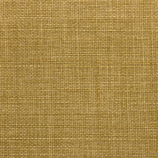 Saint Tropez - Key Lime - RM Coco - Fabric by the Yard