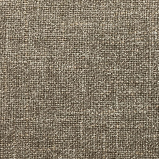 Cortland - Stainless - RM Coco - Fabric by the Yard
