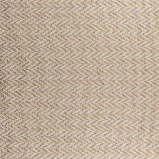 Armstrong Crypton - Chamois - RM Coco - Fabric by the Yard