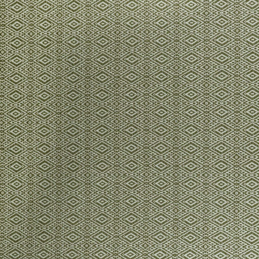 Ellington Crypton - Basil - RM Coco - Fabric by the Yard
