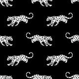 Cool Cat - Midnight - RM Coco - Fabric by the Yard