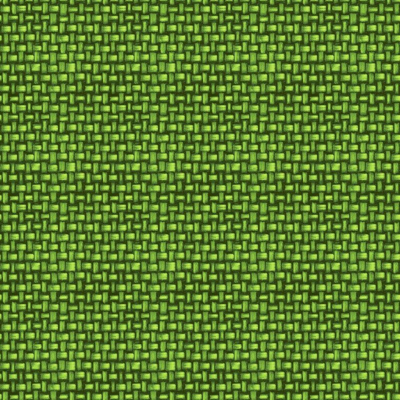 Tiki Cabana - Key Lime - RM Coco - Fabric by the Yard