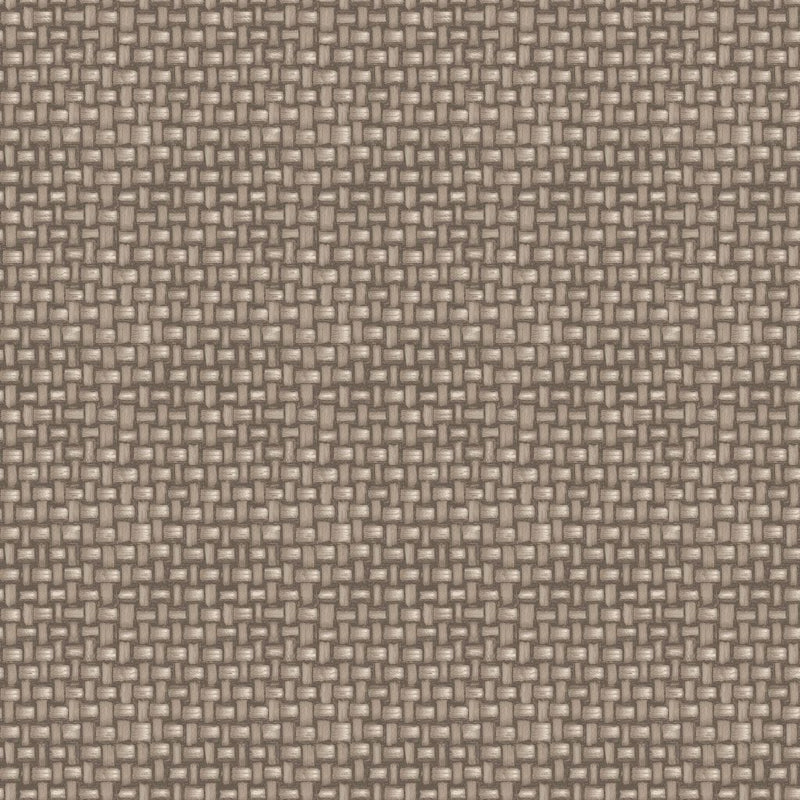 Tiki Cabana - Coconut - RM Coco - Fabric by the Yard