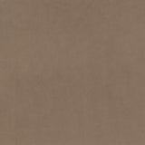 Marquee FR Velvet - Fawn - RM Coco - Fabric by the Yard