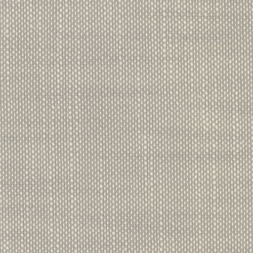 Aruba - Fog - RM Coco - Fabric by the Yard