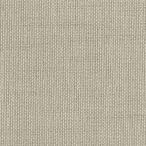 Aruba - Flax - RM Coco - Fabric by the Yard