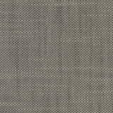 Aruba - Pewter - RM Coco - Fabric by the Yard