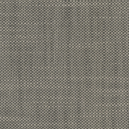 Aruba - Pewter - RM Coco - Fabric by the Yard