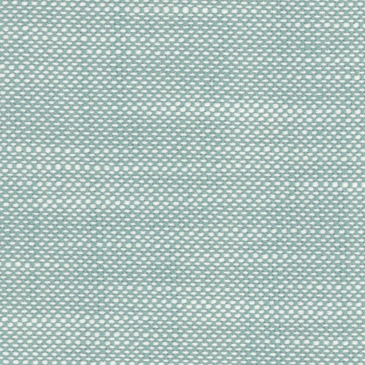 Aruba - Tidal Pool - RM Coco - Fabric by the Yard