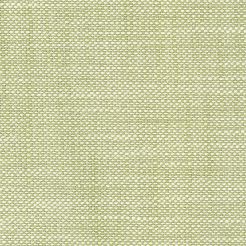 Aruba - Spring Green - RM Coco - Fabric by the Yard