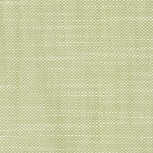 Aruba - Spring Green - RM Coco - Fabric by the Yard