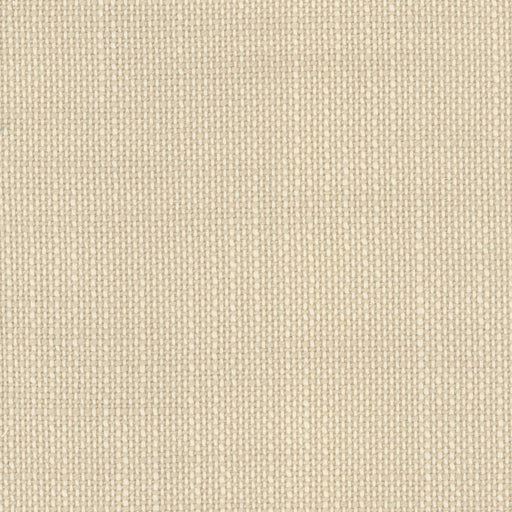 Aruba - Travertine - RM Coco - Fabric by the Yard