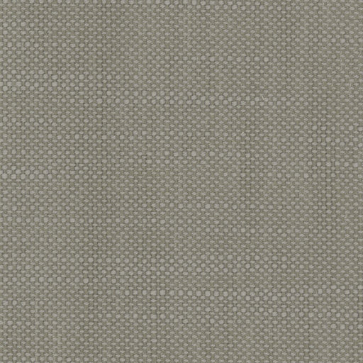 Aruba - Titanium - RM Coco - Fabric by the Yard