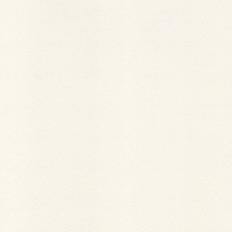 Barbados - Winter White - RM Coco - Fabric by the Yard