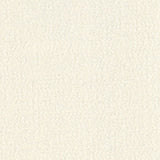 Seychelles - Winter White - RM Coco - Fabric by the Yard