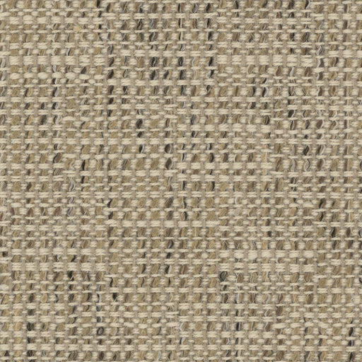 Tahiti - Driftwood - RM Coco - Fabric by the Yard