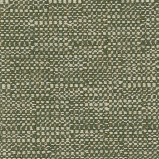 Tahiti - Evergreen - RM Coco - Fabric by the Yard