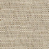 Tahiti - Travertine - RM Coco - Fabric by the Yard