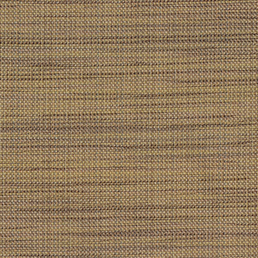 Atelier - Burnished Gold - RM Coco - Fabric by the Yard