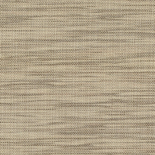 Atelier - Golden Haze - RM Coco - Fabric by the Yard
