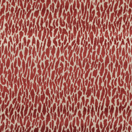 Wild Thing - Roasted Pepper - RM Coco - Fabric by the Yard