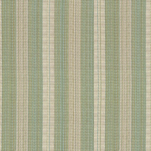 Hayden Stripe CryptonÂ® - Cypress - RM Coco - Fabric by the Yard