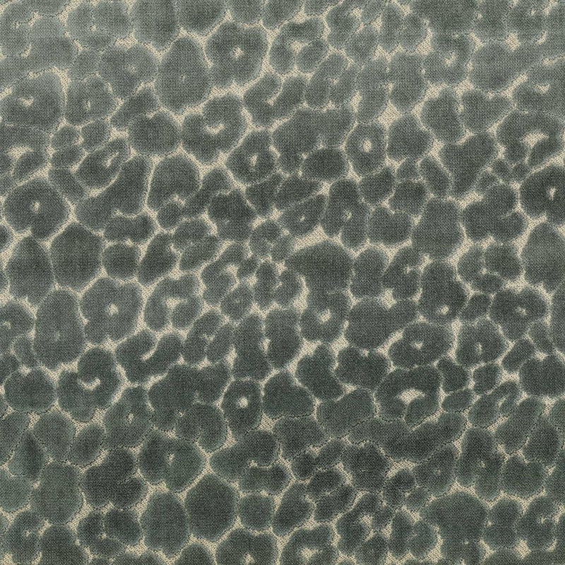 Roar - Blue Topaz - RM Coco - Fabric by the Yard