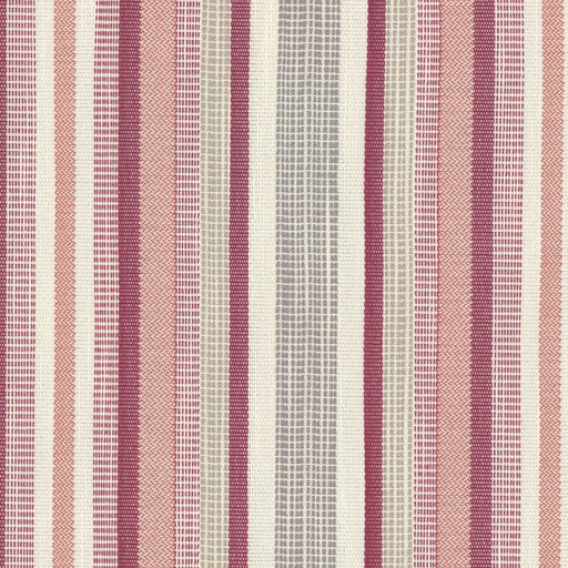 Dooley Stripe CryptonÂ® - Macaroon - RM Coco - Fabric by the Yard